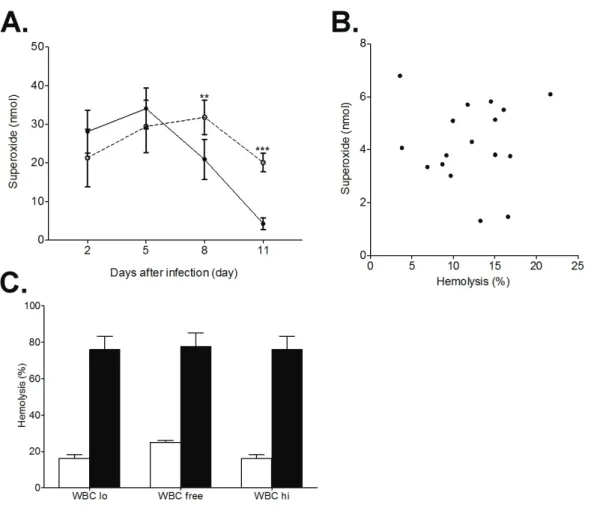 Fig. 1-3 Effect of serum and leukocyte derived ROS on hemolytic activity 