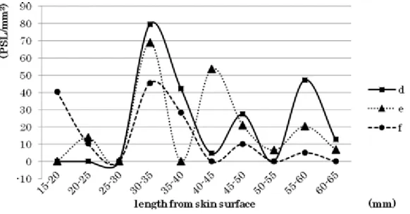 Fig.  4.  Profile  curves  of  PSL/mm 2   of  autoradiogram.  PSL/mm 2   was  the  highest portion of 30-35 mm from the skin surface and showed a pattern of  high density at intervals of 10-15 mm