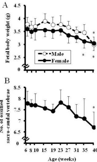 Figure 2-8：母動物の加齢による胎児体重及び胎児の仙尾椎数の変化 