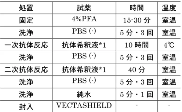 表 2   免疫染色の手順  処置  試薬  時間  温度  固定  4%PFA  15-30 分  室温  洗浄  PBS (-)  5 分・3 回  室温  一次抗体反応  抗体希釈液*1  10 時間  4℃  洗浄  PBS (-)  5 分・3 回  室温  二次抗体反応  抗体希釈液*1  40 分  室温  洗浄  PBS (-)  5 分・3 回  室温  洗浄  純水  5 分・1 回  室温  封入  VECTASHIELD  -  - 
