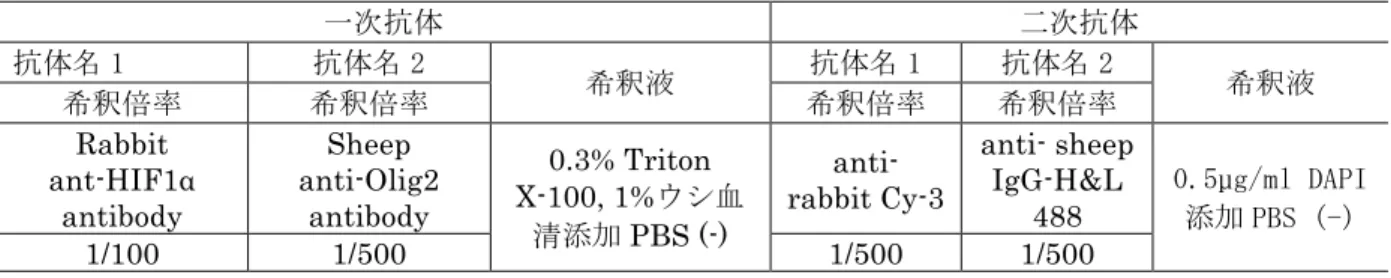 表 9 胎子脳に対する使用抗体一覧  一次抗体   二次抗体   抗体名 1   抗体名 2   希釈液   抗体名 1   抗体名 2   希釈液   希釈倍率   希釈倍率   希釈倍率   希釈倍率   Rabbit  ant-HIF1α  antibody  Sheep  anti-Olig2 antibody  0.3% Triton  X-100, 1%ウシ血 清添加 PBS (-)  anti-  rabbit Cy-3  anti- sheep IgG-H&amp;L 488  0.5µg/