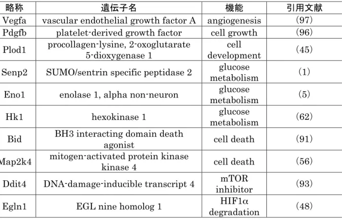 表 11   母体低タンパク質食負荷により発現が増加した HIF1 α 下流遺伝子のまとめ 