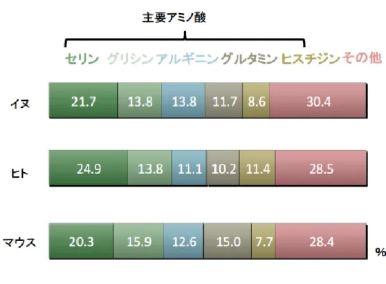 Figure 9. The comparison of major amino acid composition in FLG among dog, 