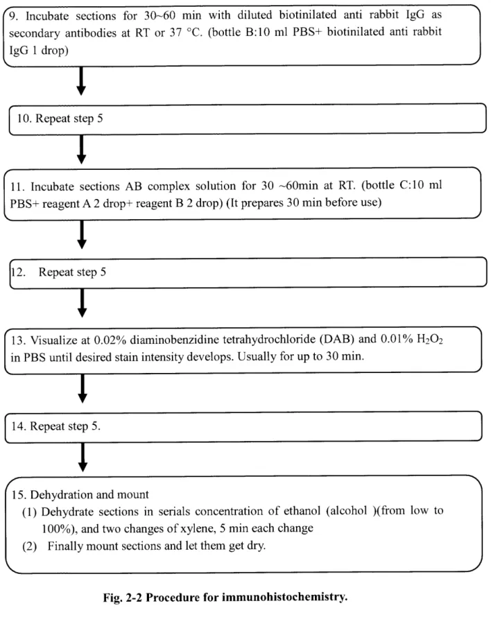 Fig･ 212 Procedure for immunohistochemistry･