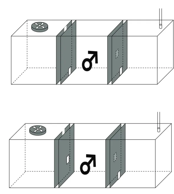 Fig. 2. The type 1 (a) and the type 2 (b) of the behavioral test apparatuses. 