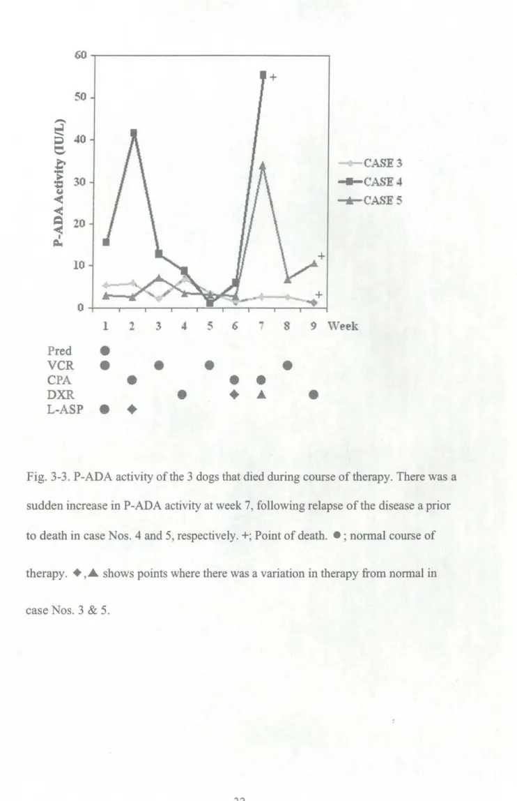 Fig. 313. PIADA activityofthe 3 dogs that died dming course of therapy. There was a