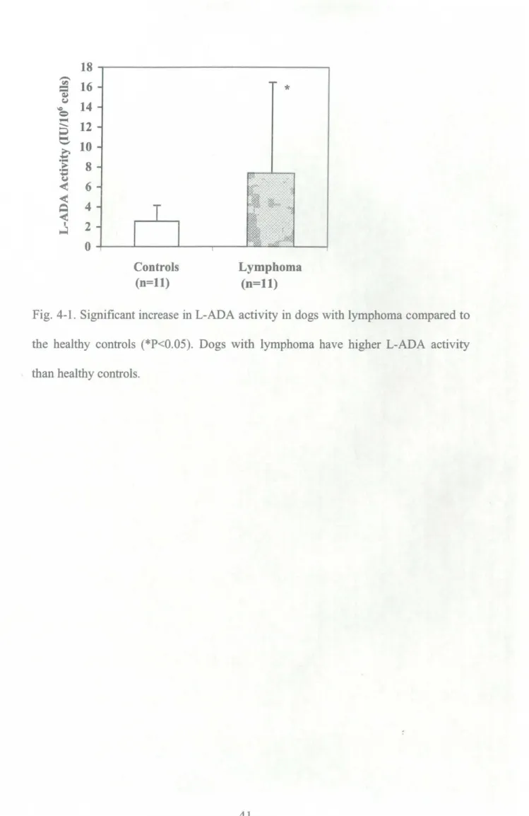 Fig･ 411 I Sig山ficant increase in L‑ADA activityin dogswith lymphoma compared to the healthy controls (*P<0･05)A Dogswith lymphoma have higher LIADA activity than healthy controls.