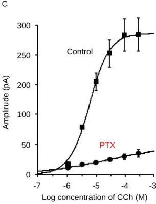Figure 2    Effects of pertussis toxin (PTX) on CCh-evoked mI Cat . PTX was injected  into mice (100 μg/kg body weight, i.p), and 70 to 74 hours later, singlesmooth muscle  cells were hervested (see Methods)