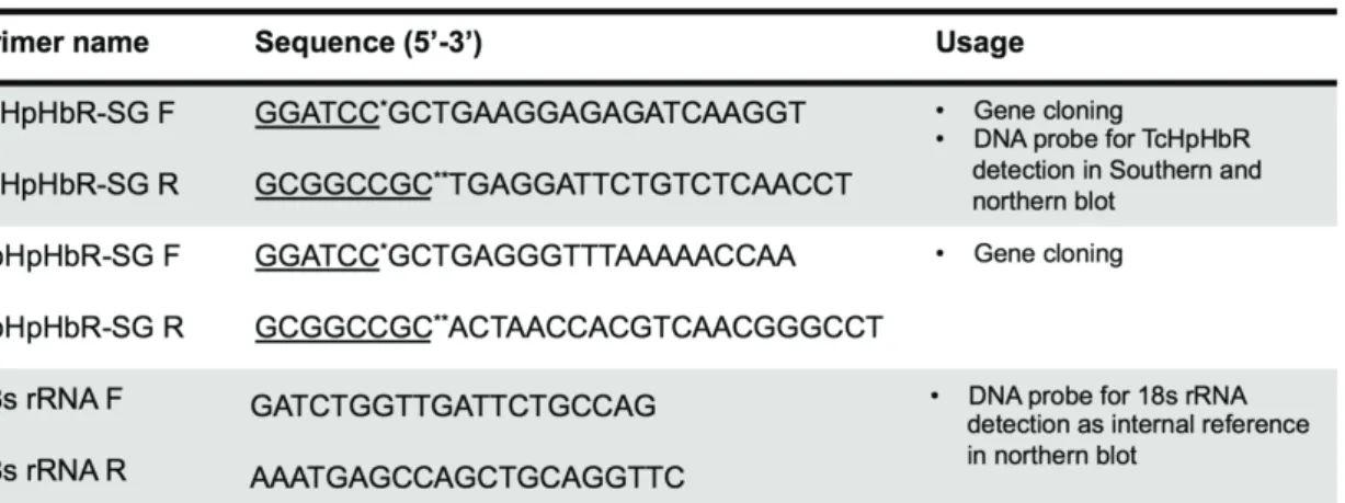 Table 1. Primers used in this chapter 