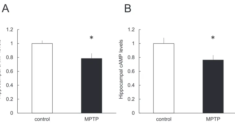 Fig. 13 Analysis of cAMP levels in hippocampus (A) before or (B) immediately after  extinction training