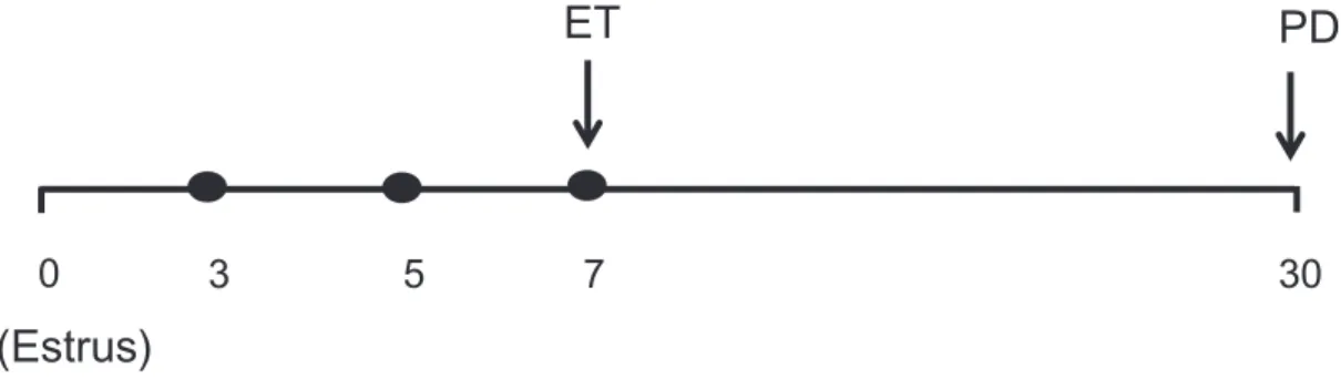 Fig. 1-1. Schematic views of ultrasound examinations and sampling schedules.