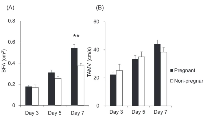 Fig. 1-5. Changes in the blood flow area (BFA) of the corpus luteum (A) and the time-averaged maximum velocity (TAMV) of the spiral artery (B)