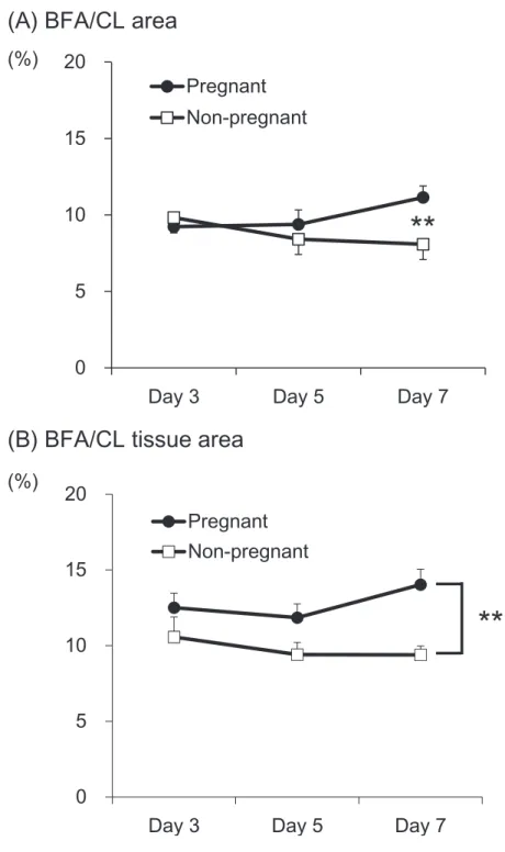 Fig. 1-7. Relative changes in the blood flow area (BFA) expressed as the percentage of the corpus luteum (CL) area (A) and the CL tissue area (B) 
