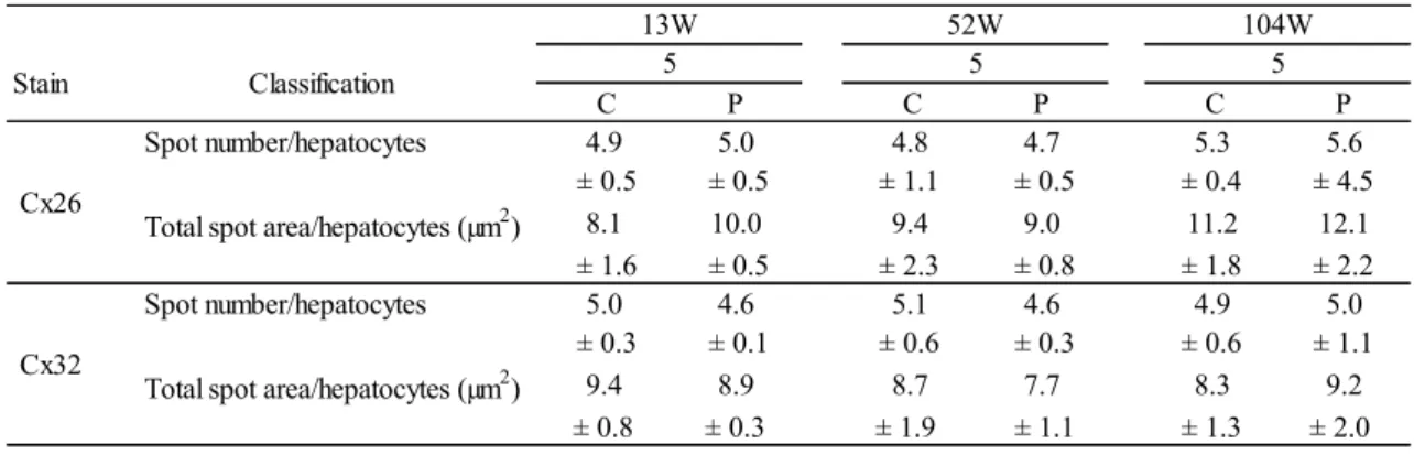 Table 2.    Image analysis for Cx26 and Cx32 stainings of male B6C3F1 mice with ages 