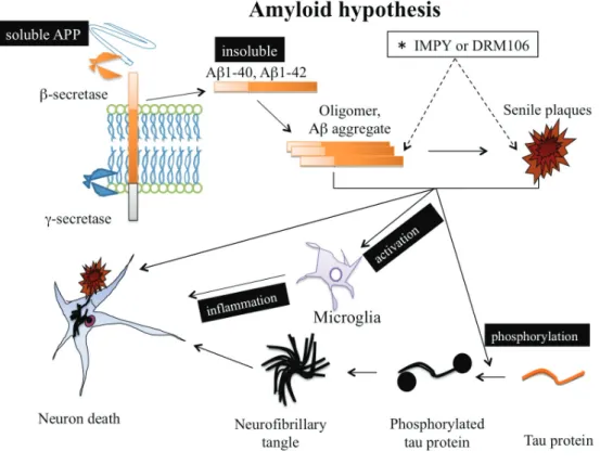 Fig. 1. Proposed hypothesis of Aβ  causing the neurotransmission failure and  neuronal cell death is still unclear