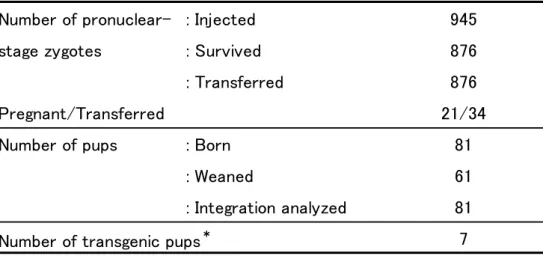 Table 1-1.  Production efficiency of CAG/EGFP transgenic rabbit
