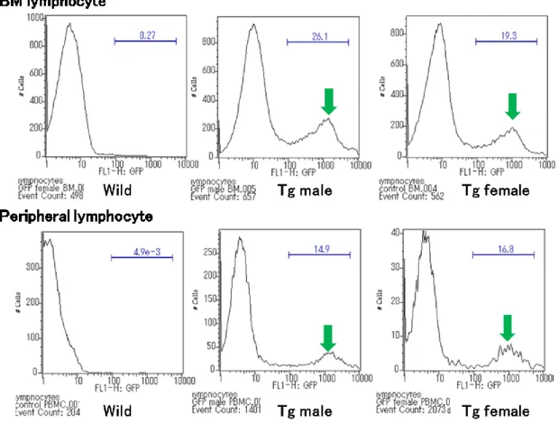 Figure 1-5. Flow cytometric pattern of bone marrow  cells and  peripheral lymphocytes