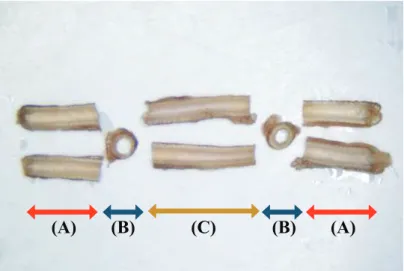 Figure 39 30 mm ΤÑƣ̺˜[ĐnĎG 