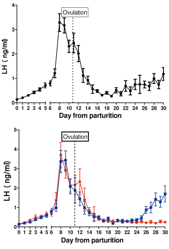 Fig. 4-1 Changes in serum concentration of LH. Results are expressed as means ± SEM. 