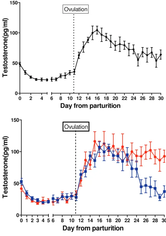 Fig. 4-5 Changes in serum concentration of testosterone. Results are expressed as means ± SEM