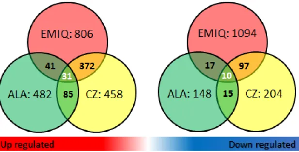 Figure  5.    Summary  of  microarray  gene  expression  analysis  in  DSS-induced  colitis inhibition study (chapter 1) 