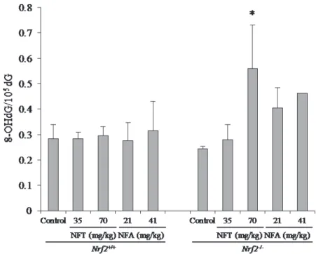 Fig. 5.    8-OHdG levels in the kidneys of Nrf2 +/+  or  Nrf2 -/-  gpt delta mice treated with  NFT or NFA for 13 weeks