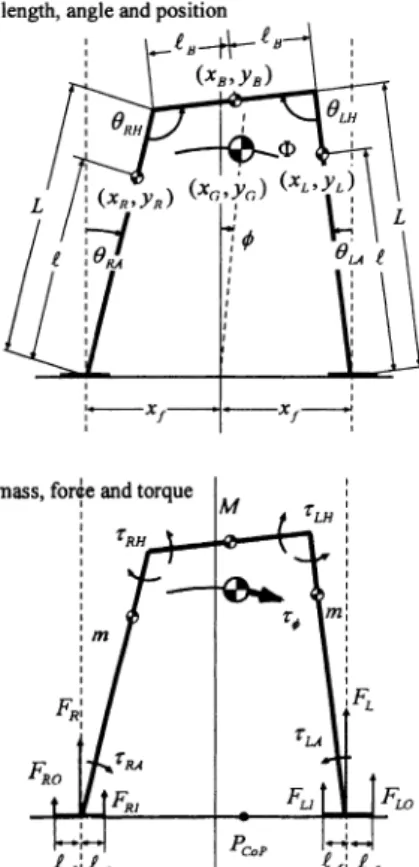 Fig.  2  Model  for  double  support  phase  in  the  frontal  plane