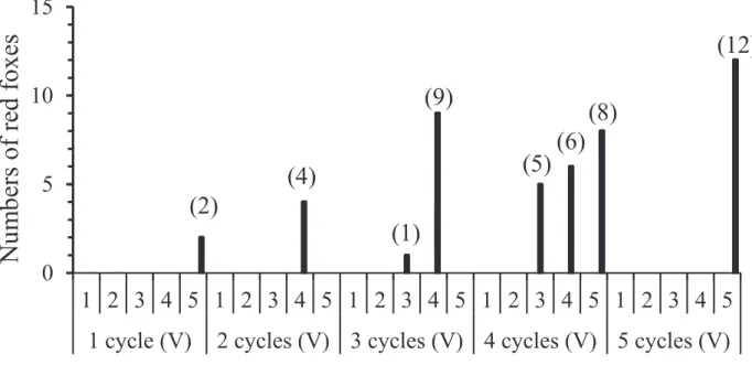 Fig.  10.    Numbers  of  red  foxes  which  can  be  successfully  collected  semen  after  loading 1 to 5 voltages (V) from 1 to 5 cycles