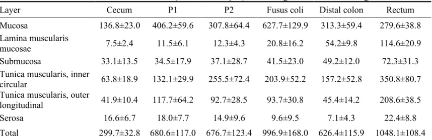 Table 1. Laminar and entire wall thickness (mean ± SD in µm) of each segment of the rabbit large intestines 