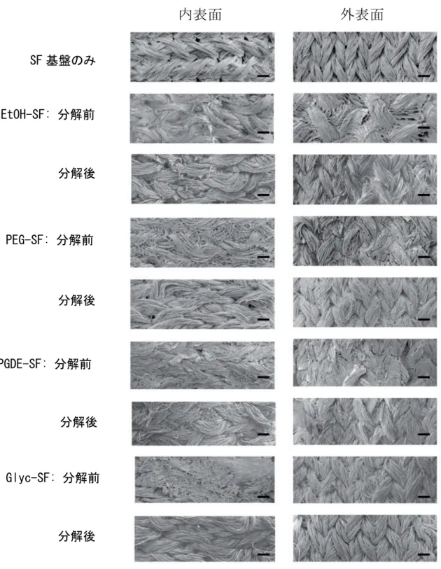 Figure 2  SF グラフトの内・外表面の SEM 画像