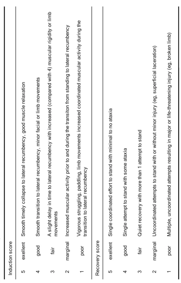 Table 1-1. Scoring scale for assessment of induction and recovery qualities Induction score Recovery score