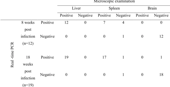 Table  2.  The  assessment  of  egg  burden  between  real-time  PCR  and  microscopic  examination of tissue sections in different organs at 8 and 18 weeks post infection a
