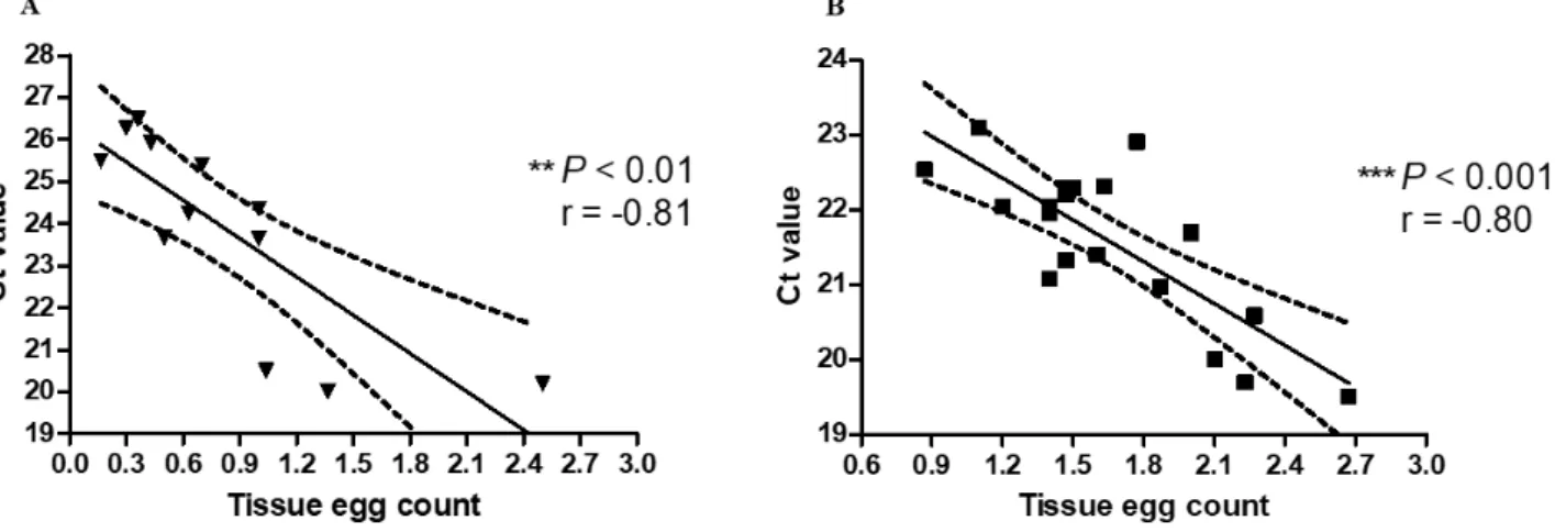 Figure 3. Relationship between tissue egg count and Ct value in the liver. (A) at 8 (▼)  weeks post infection