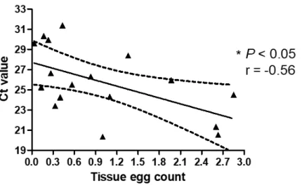 Figure  4.  Relationship  between  tissue  egg  count  and  Ct  value  in  the  spleen  at  18  ( ▲ )  weeks  post  infection