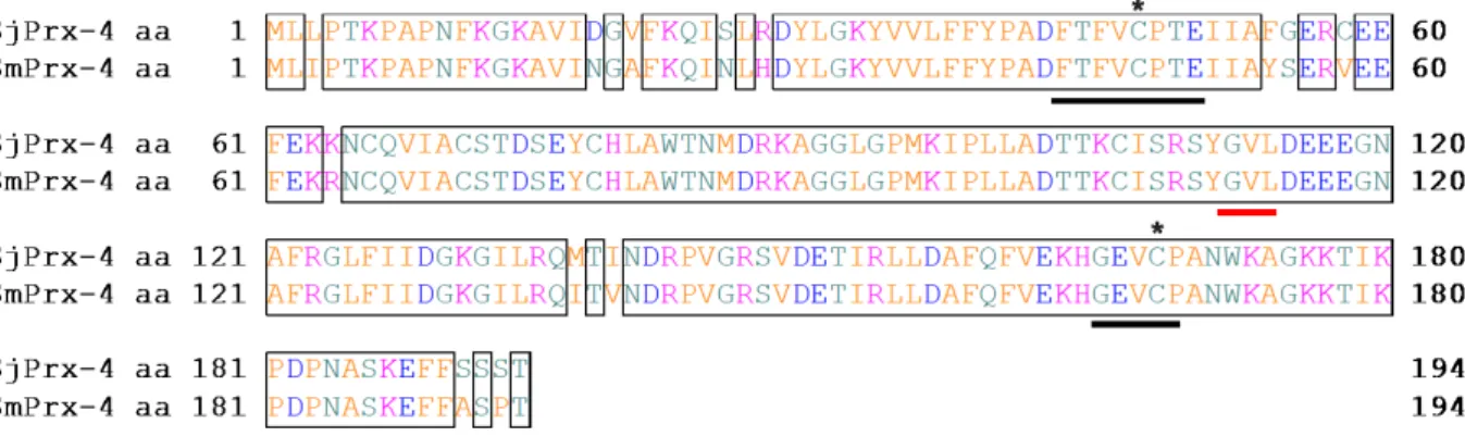 Figure 7. Amino acid sequence alignment of SjPrx-4 and SmPrx-4. The identical amino  acids between two sequences are boxed