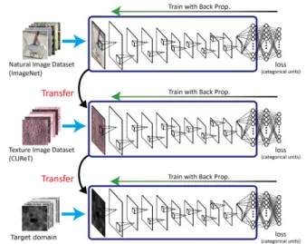 Figure 2 shows the schematic diagram of two-stage feature transfer, which, for DCNNs, means the reutilization of the  fea-ture extraction parts of the pre-trained network