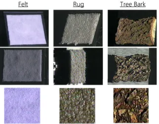 Fig. 5 Examples of textural images comprising the CUReT database. Top and middle rows: entire images of “Felt,” “Rug,” and “Tree Bark”