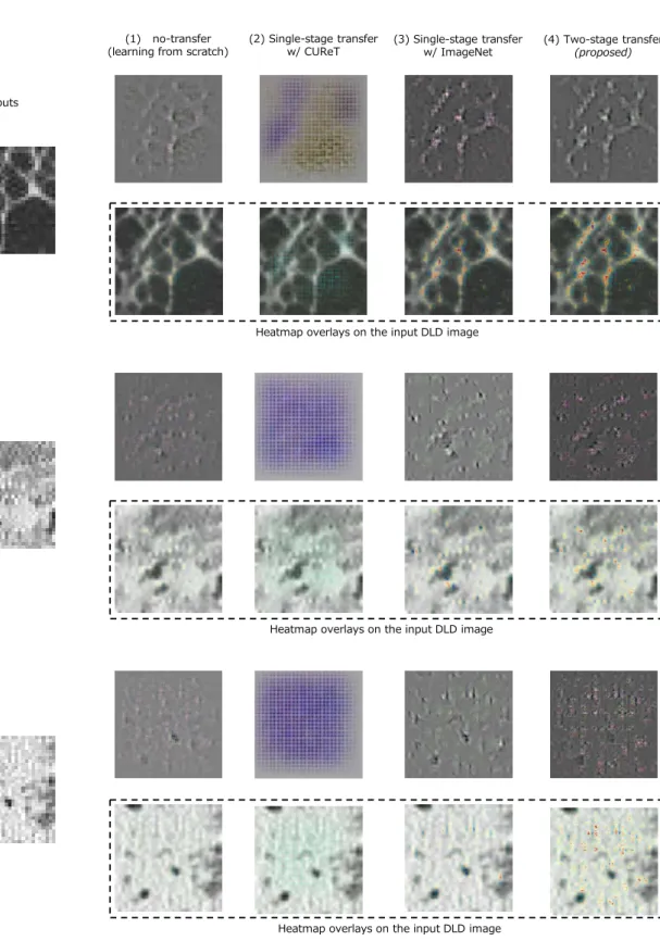 Fig. 9 Visualization results of extracted feature maps from DLDs images. The leftmost figures show the DCNN inputs