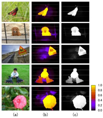 Fig. 12 Examples of the probability density estimated with Eq. (9). (a) Input images; (b) Estimated probability densities; (c) Normalized images into [0, 255] range based on (b).