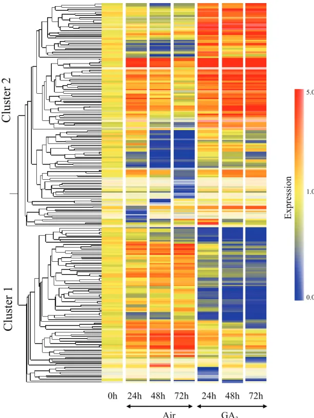 Fig. 2-5. Hierarchical clustering of 213, GA 3 -responsive, genes that showed a 3-fold or greater  expression change between GA 3  and air treatments (GA 3  / air signal intensity ratio)