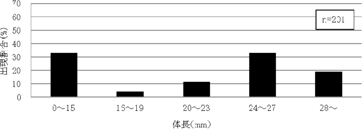 図 21  水路 1 におけるミナミメダカの体長分布 
