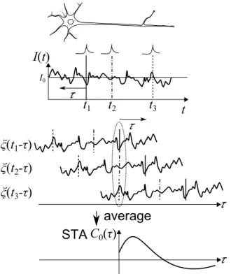 Fig. 2 Examples of STA data obtained by the type I Morris-Lecar model.