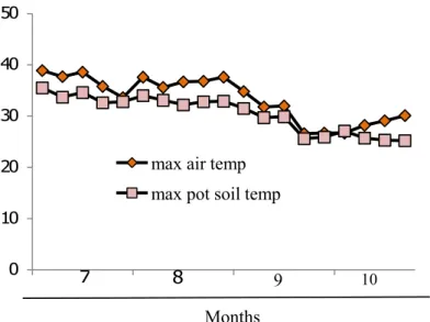 Fig.  5.1  The  maximum  air  and  pot  soil  temperature  inside  the  greenhouse  during  the  experimental period from mid July to early October under hot summer period in  Japan