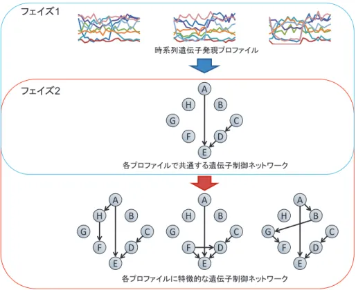図 2 提案手法全体のイメージ図
