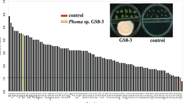 Fig. 2.1. Analysis of growth promotion in tobacco with exposure to airborne chemicals released  from 100 fungal isolates compared with control (PDA only)