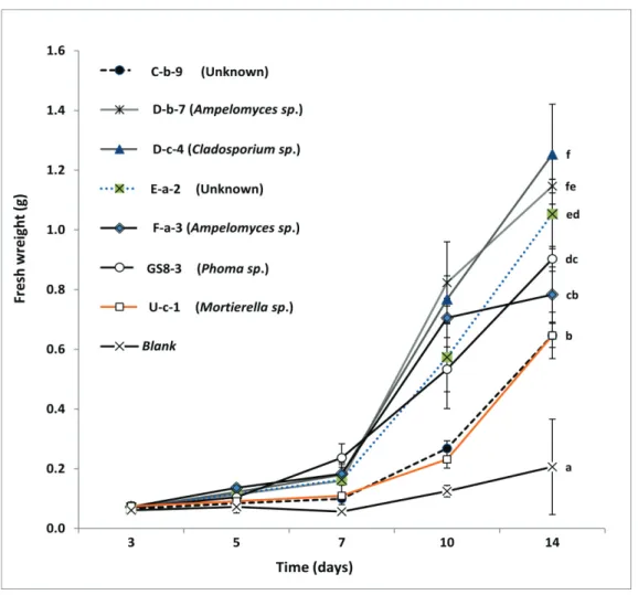 Fig. 2.2.  Growth of tobacco seedlings during 14 days with exposure to airborne chemicals  released form selected fungal isolates compared with PDA alone (blank)