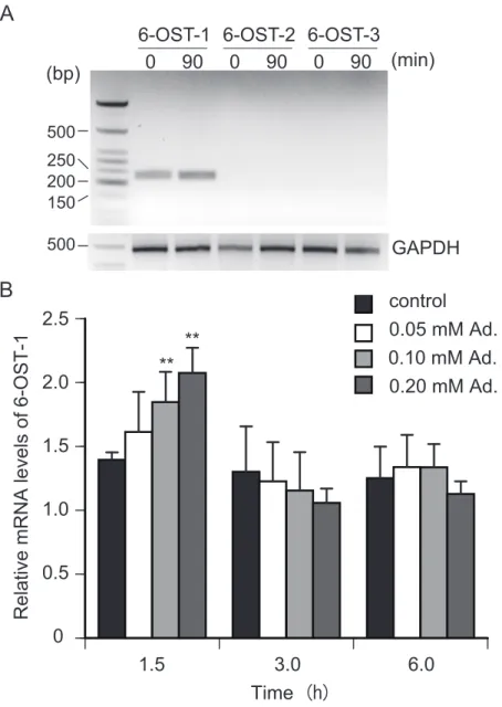 Fig. 2-6 6-OSTs J mRNA ːʷύHfª¨­*¸'_ǐϴ 