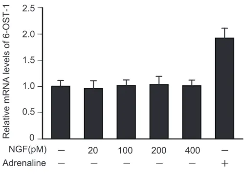 Fig. 2-7 NGF * 6-OST-1 J mRNA ːʷH¸'_ǐϴ 