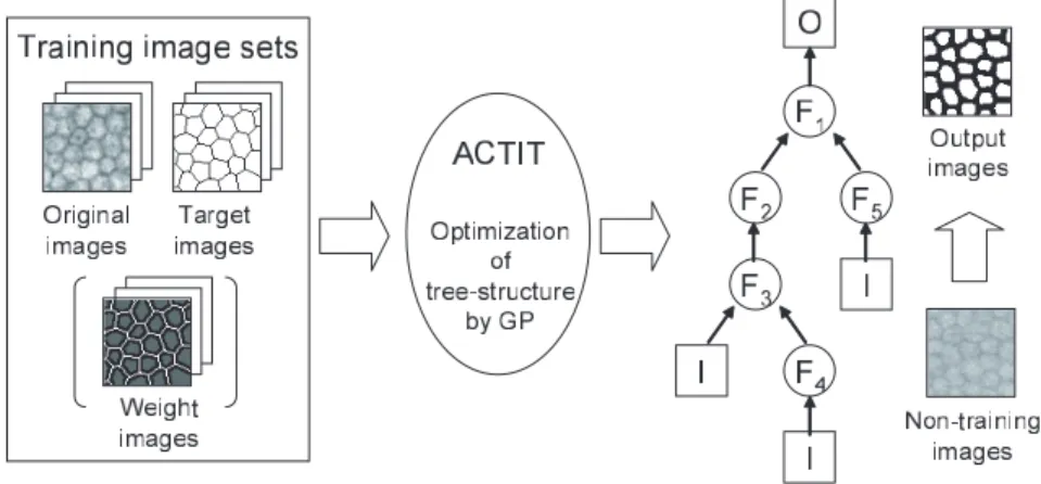 表 1 に AdaBoost と ACTIT-Boost の対応について示す． ACTIT-Boost では， AdaBoost における学習データが画像中の画素値，データの重みが重み画像，弱識別器が木構造状画像 変換，分類率が画像処理の適応度，識別クラス（ 0 or 1 ）が出力階調値（黒 or 白）に対応 する．なお， ACTIT-Boost は， 2 値識別器である AdaBoost の学習アルゴリズムが適用さ