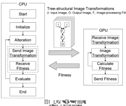 図 3 に GPU を用いた ACTIT の処理過程を示す．最初に， GPU の初期化処理として教 師画像セットのロード， GPU 用に記述された画像処理フィルタのコンパイル，ロードを行っ ておく．ここで， GPU では画像の 4 つの要素（ R: Red ， G: Green ， B: Blue ， A: Alpha ） に対して同時に演算処理を行うことができるため，それぞれの要素に 1 セットの教師画像 セット（合計 4 セット）を割り当てることとする．画像変換・適応度計算部では， GPU が CPU 